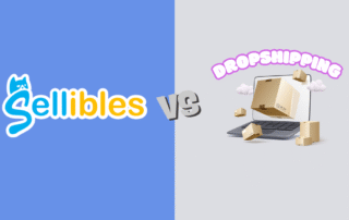 Dropshipping vs Sellibles