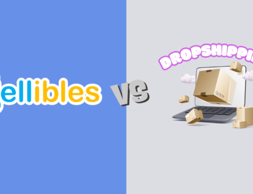 Dropshipping or Sellibles?